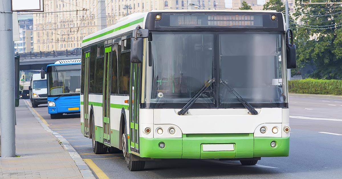 green and white city bus