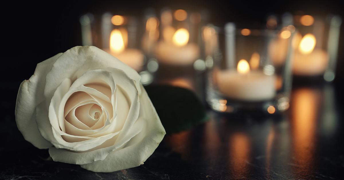 white rose with tea light candles