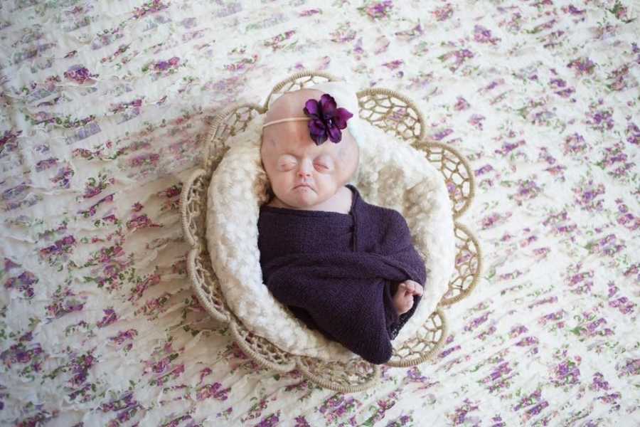 A professional photo taken of Emmy wrapped in a purple blanket laying in a basket. Photo by Sarah Sweetman Photography